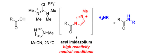 ハイファインバイオテック