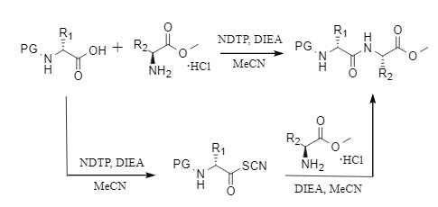 NDTP媒介縮合反応